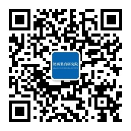 3802a20b533caa3c15e5aeb2a733044.jpg